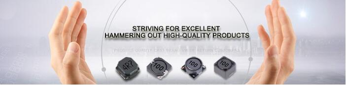 SIAB ZOO INDUCTOR.jpg